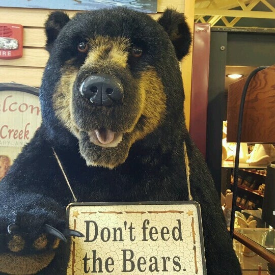 Bear Creek Traders 7 tips