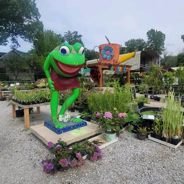 Gerlach Flowers Erie Pa Best Flower Site