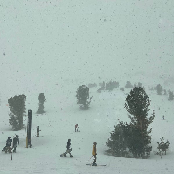 3/7/2020 tarihinde Gracefaceziyaretçi tarafından Mammoth Mountain Ski Resort'de çekilen fotoğraf
