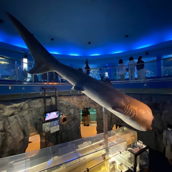 Photos At 水族館魚の国 三浦 三浦市 神奈川県
