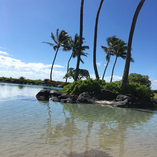 3/5/2016にRyann D.がGrand Hyatt Kauai Salt Water Lagoonで撮った写真