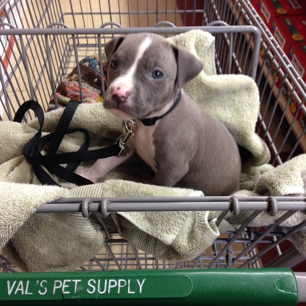 Val's pet cheap supply