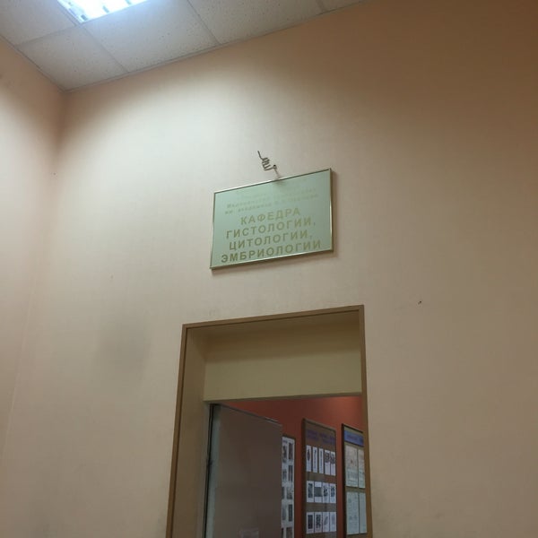 Шлыков кафедра гистологии. Кухтенко волггму. Коллектив кафедры. Кафедра гистологии пспбгму. Кафедра гистологии пспбгму.