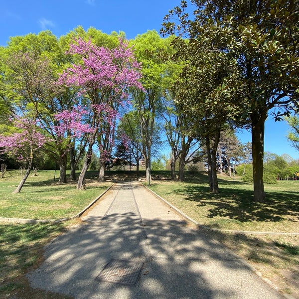 Parco Ruffini - Pozzo Strada - 25 tips from 938 visitors