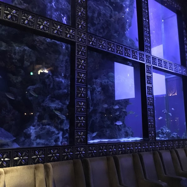 Photos At Luxis Aqua Restaurant Bar 4 Tips