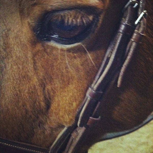 Old Dalton Farm Poughquag, NY