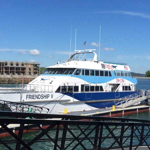 Bar Harbor Whale Watch Co. 1 West St.