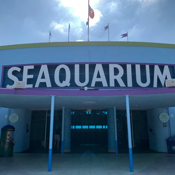 11/17/2022 tarihinde Andrei D.ziyaretçi tarafından Miami Seaquarium'de çekilen fotoğraf