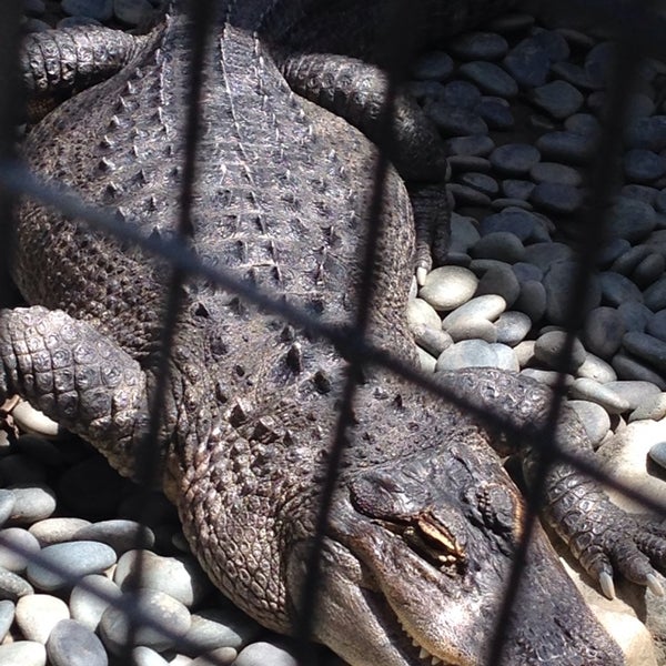 Foto tomada en Pasadena Humane Society &amp; SPCA  por Scott S. el 7/11/2014