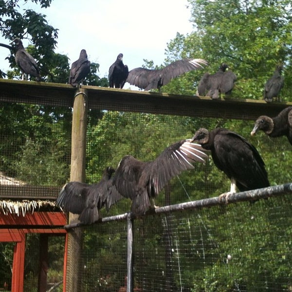 Foto diambil di Elmwood Park Zoo oleh Ryan H. pada 6/16/2013