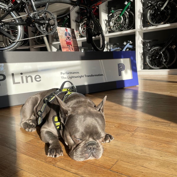 Brompton Junction Sporting Goods Shop in New York