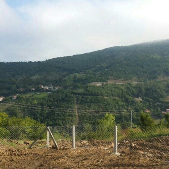 Photos At Bartin Ulus Hasanoren Forest