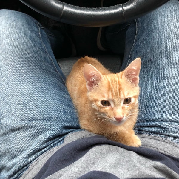 Photos At 品安動物醫院 Wenshan Qu 1 Tip From 13 Visitors