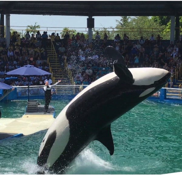 Das Foto wurde bei Miami Seaquarium von Hector C. am 7/30/2021 aufgenommen