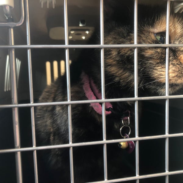 VCA Dover Animal Hospital Dover DE