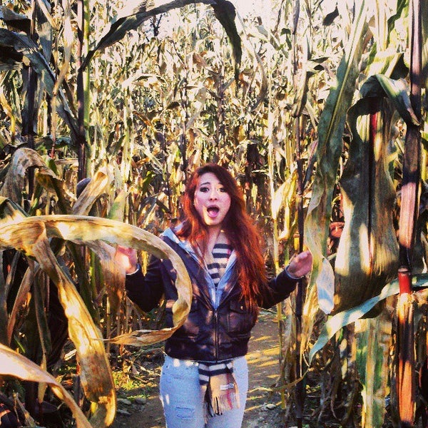 Hogpen Hill Farm Sculpture Garden in Woodbury