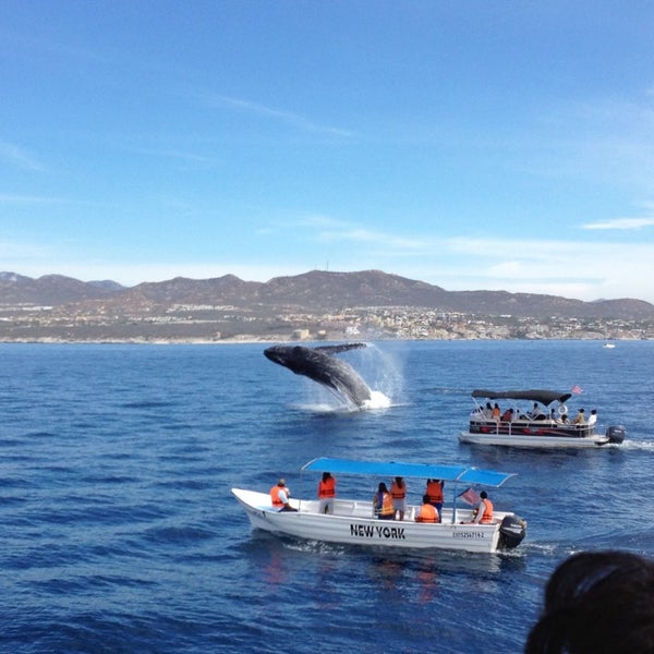 Photo taken at Cabo Escape Tours by Osvaldo R. on 4/1/2013