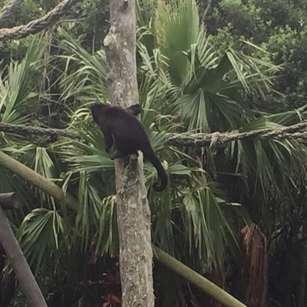 Foto tomada en Wellington Zoo  por Neil C. el 5/16/2015