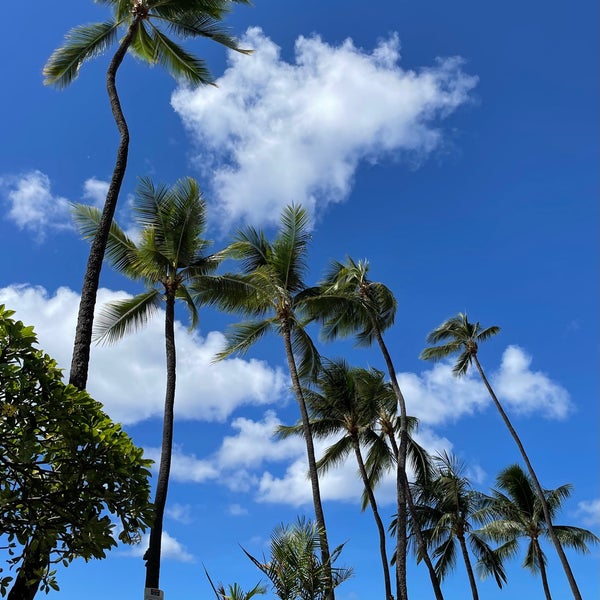 9/27/2022 tarihinde Monica S.ziyaretçi tarafından Outrigger Waikiki Beach Resort'de çekilen fotoğraf