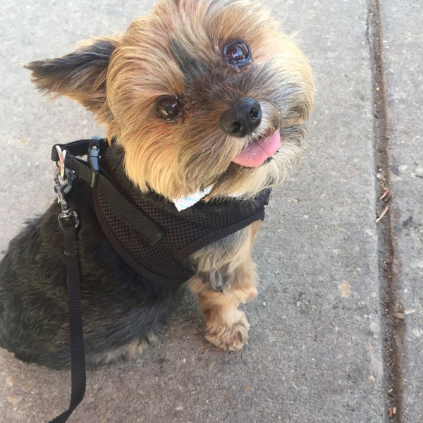 Coffee House Too North Philadelphia 22 tips from 475 visitors