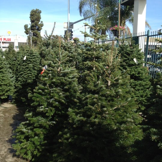 Photo taken at Armstrong Garden Centers by Tyler A. on 12/1/2012