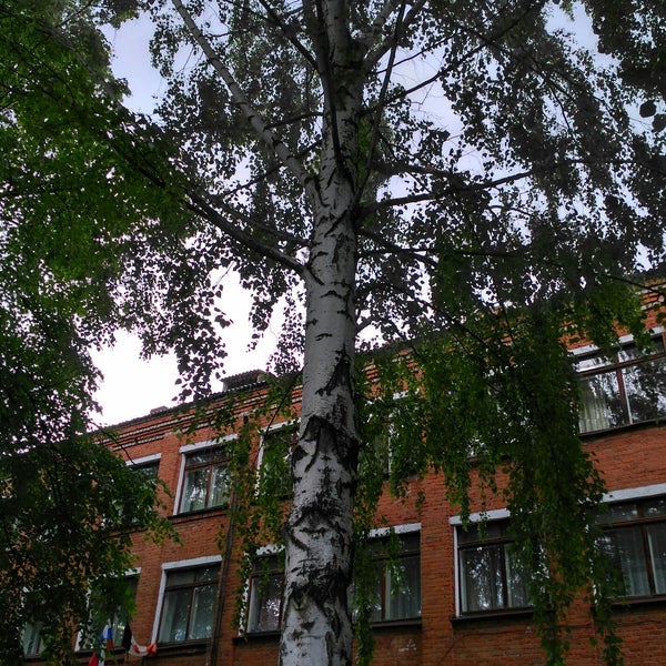 Фото Школ Сарапула