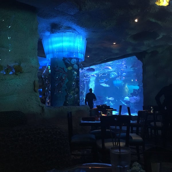 Ресторан аквариум нижневартовск
