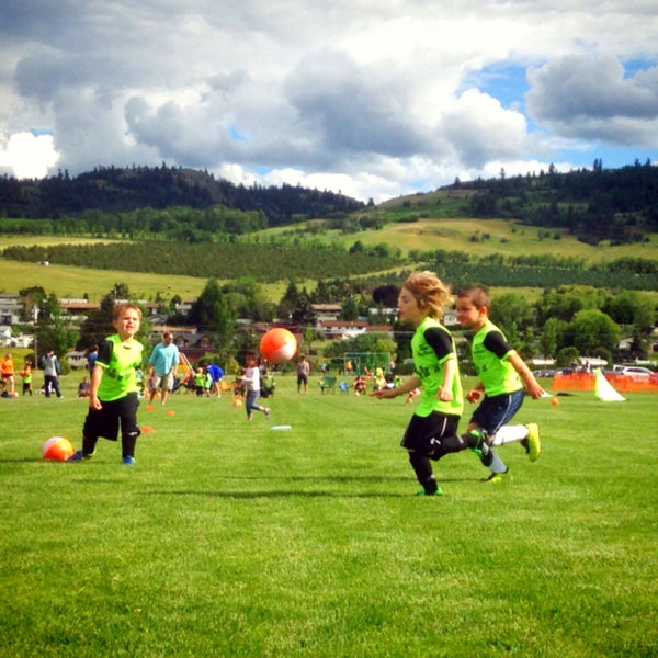 Sports fields