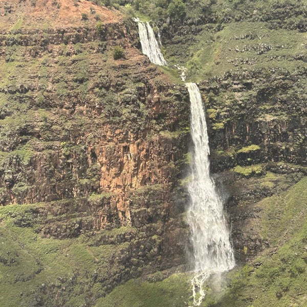 4/20/2023 tarihinde shea s.ziyaretçi tarafından Kauai Beer Company'de çekilen fotoğraf