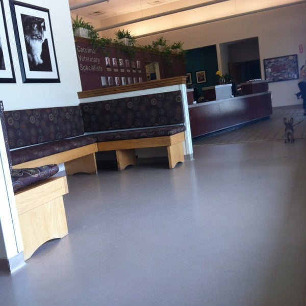 Photos At Carolina Veterinary Specialists Greensboro Nc