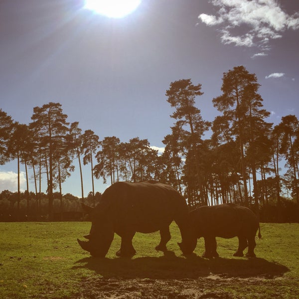 Serengeti Park Bollenson расстояние