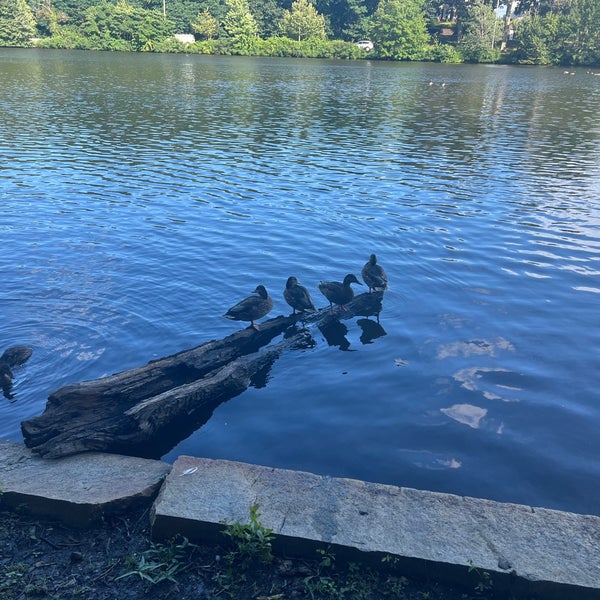 Fellsmere Pond 6 tips from 276 visitors