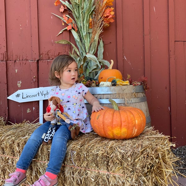 Photo taken at Lincourt Vineyards by Wendy P. on 10/14/2019