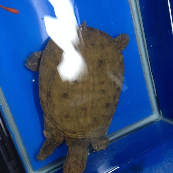 Photos at Kalihi Pet Center Pet Supplies Store in Honolulu