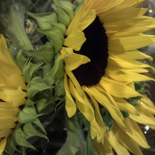 Photo taken at The Fresh Market by Ede H. on 10/14/2012
