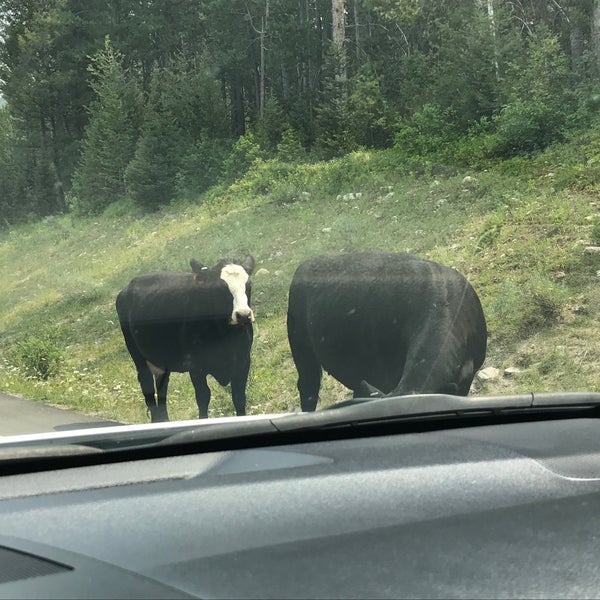 Photo taken at Grand Targhee Resort Alta by Carolyn H. on 8/11/2017