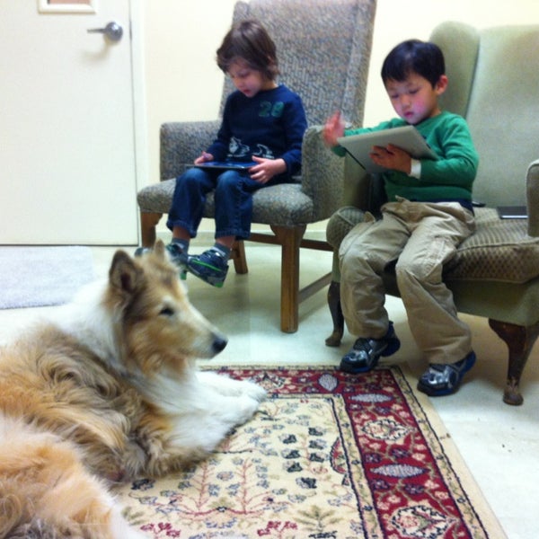 vca southpaws veterinary specialists & emergency center