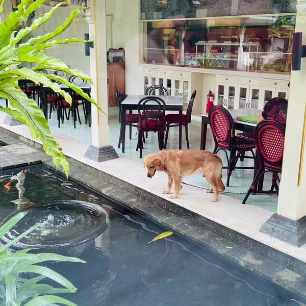 Lumay Cafe & Resto