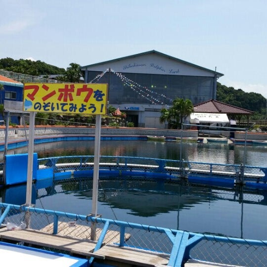 Fotos Em 大黒イルカランド Aquario Em 串間市