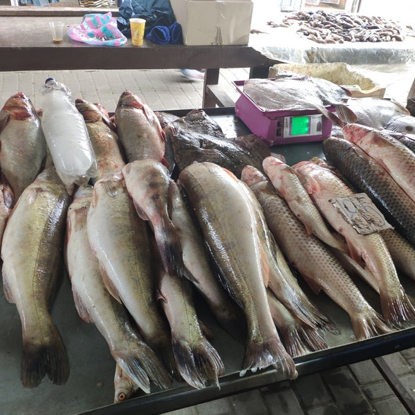 Киоск с рыбой. Рыба плюс чебоксары. Рыбный рынок в риге. Торговый центр сельма рыбный павильон. Ларек с рыбой.