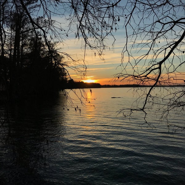 Albums 91+ Pictures Reelfoot Lake State Park Photos Updated