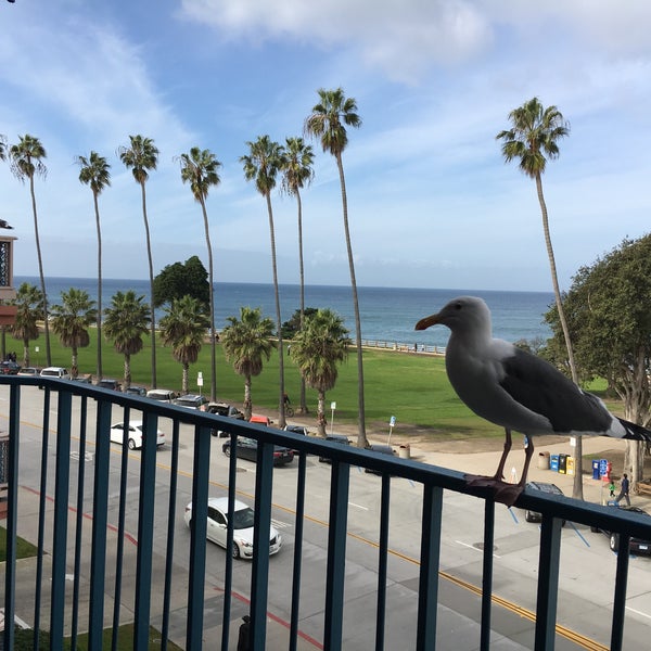 Photo taken at La Jolla Cove Suites by Cara M. on 1/15/2017