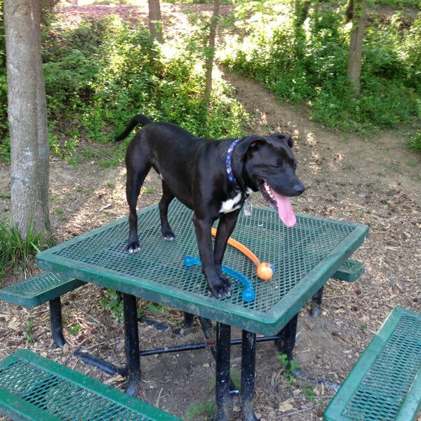 Oakhurst Dog Park Dog Run in Atlanta