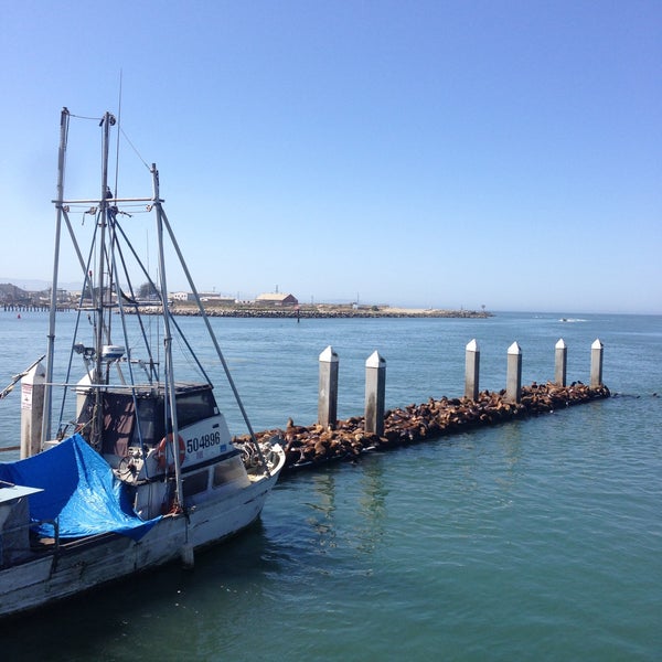 Moss Landing Sea Lion Dock Moss Landing, CA