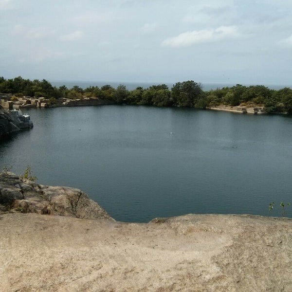 Are Dogs Allowed At Halibut Point State Park