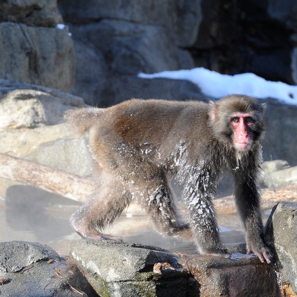 Photo taken at Central Park Zoo by Belén A. on 12/16/2014