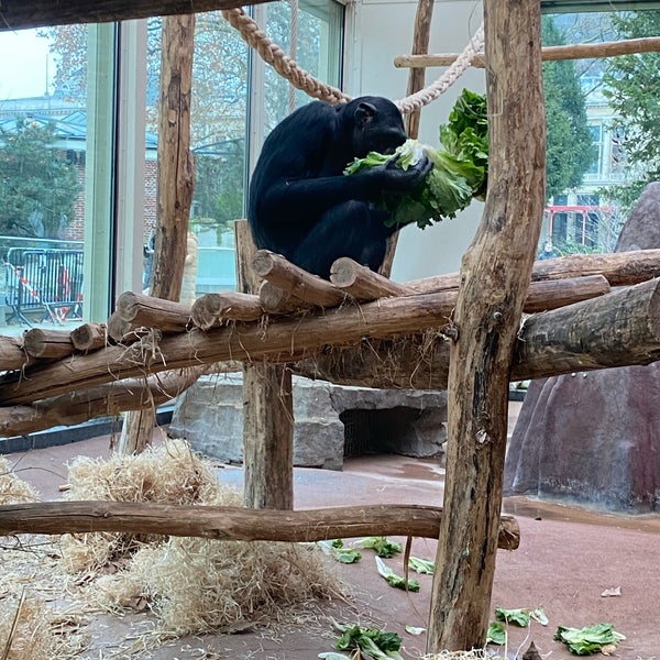 12/18/2022 tarihinde Marion V.ziyaretçi tarafından Zoo Antwerpen'de çekilen fotoğraf