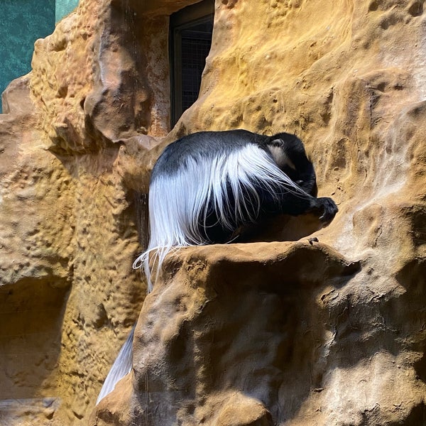 12/18/2022 tarihinde Marion V.ziyaretçi tarafından Zoo Antwerpen'de çekilen fotoğraf