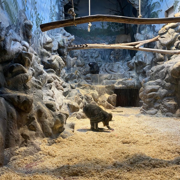 Foto diambil di Zoo Antwerpen oleh Marion V. pada 12/18/2022