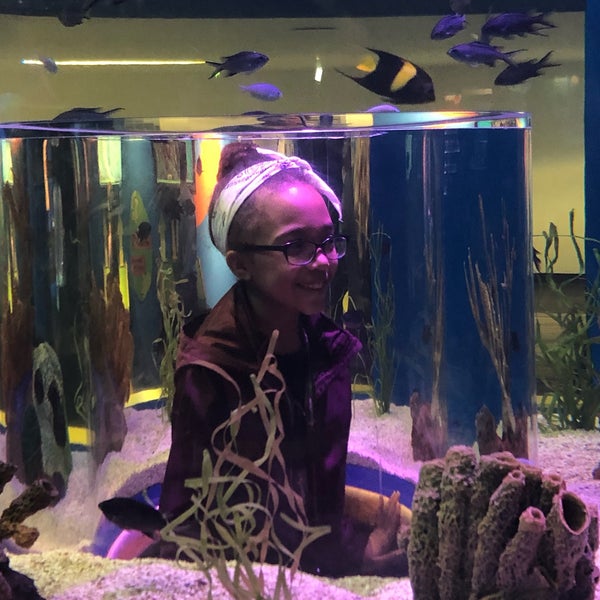 Foto scattata a Ripley&#39;s Aquarium of the Smokies da Carolyn W. il 3/11/2019